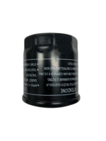 Oil Filter for Rover 300 Golf Cart
