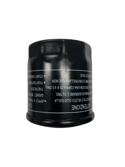 Oil Filter for Rover 300 Golf Cart