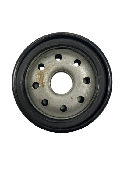 Oil Filter for Rover 200 Golf Cart