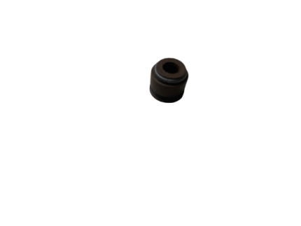 VALVE SEAL