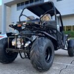 Trailmaster Cheetah 300E EFI Adult Go-Kart Buggy